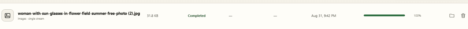 Real completed download row in ADM